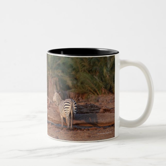 Caneca De Café Em Dois Tons Zebra 5 de Grant (Direita)