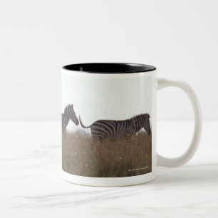 Caneca De Café Em Dois Tons Zebra 7 de Grant