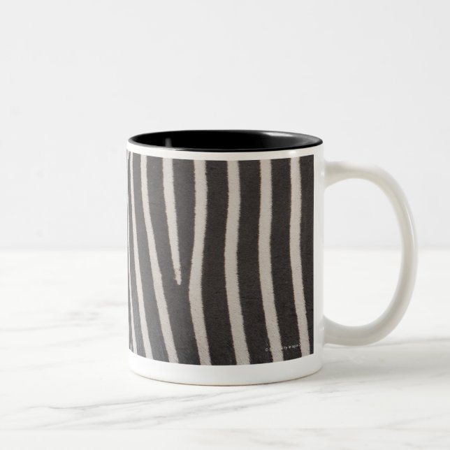 Caneca De Café Em Dois Tons Zebras (Direita)