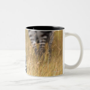Caneca De Café Em Dois Tons Zebras na grama alta