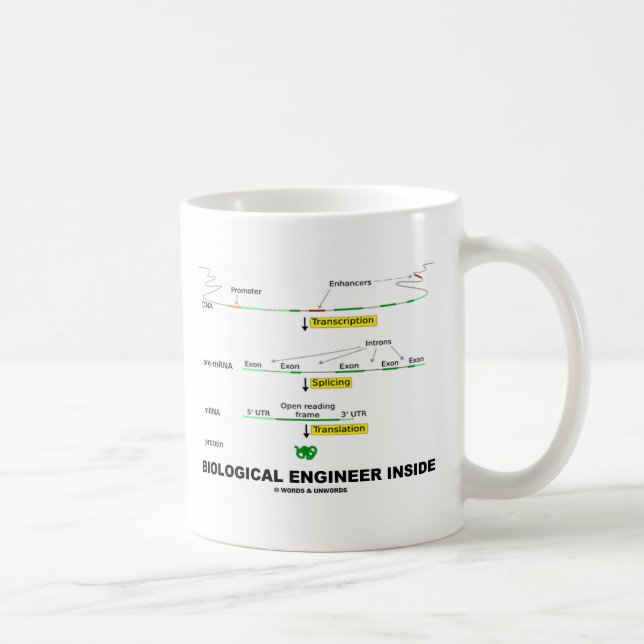 Caneca De Café Engenheiro biológico para dentro (Direita)