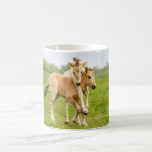 Caneca De Café Engraçado Cavalo Selvagem Konik Foals Brincando -
