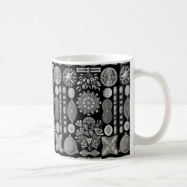 Caneca De Café Ernst Haeckel Diatomea (Direita)