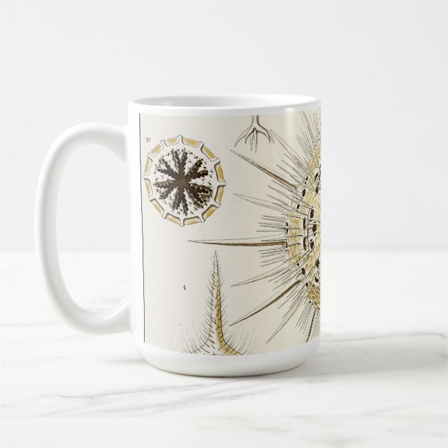 Caneca De Café Ernst Haeckel Phaeodaria (Esquerda)