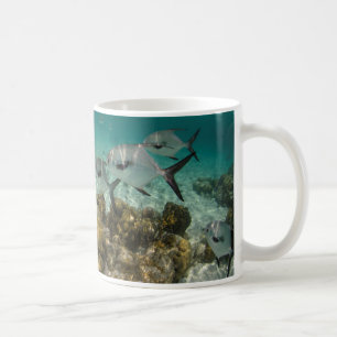 Caneca De Café Escola de Peixe de Licença