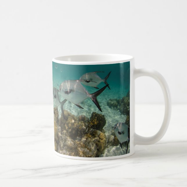 Caneca De Café Escola de Peixe de Licença (Direita)
