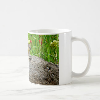 Caneca De Café Esfregões e flores silvestres
