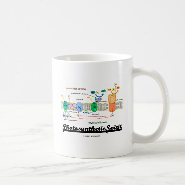 Caneca De Café Espírito Fotosintético (Atitude Bioquímica) (Direita)