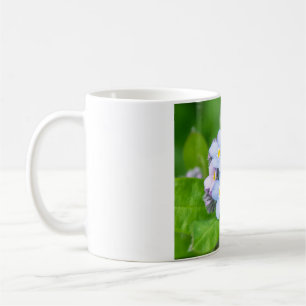 Caneca De Café Esqueça-me, não, Mug