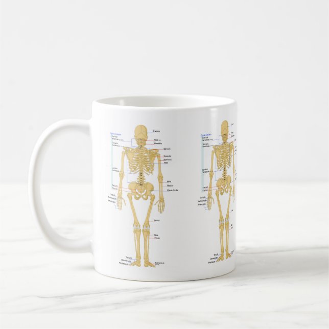 Caneca De Café Esqueleto Humano Bonito com Rótulos (Esquerda)