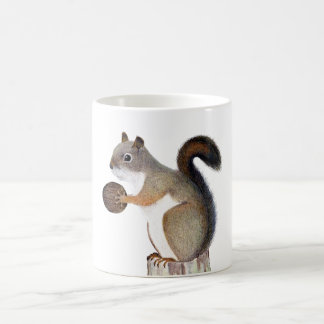 Caneca De Café Esquilo