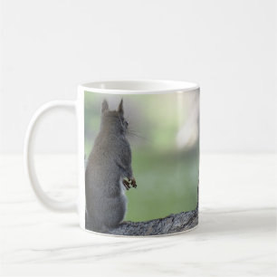 Caneca De Café Esquilo