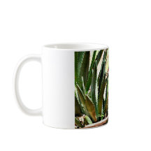 Esquilo à terra pateta