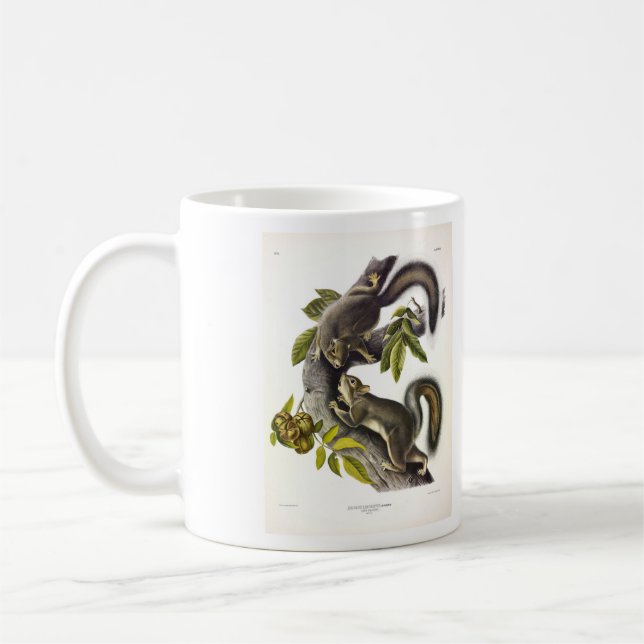 Caneca De Café Esquilo das Cinzas orientais (Esquilo Migratório)  (Esquerda)