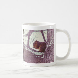 Caneca De Café Esquilo de inverno