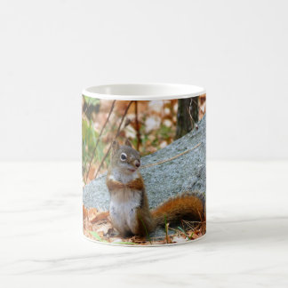 Caneca De Café Esquilo do pinho