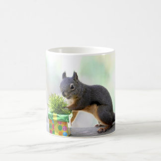 Caneca De Café Esquilo e presente envolvido