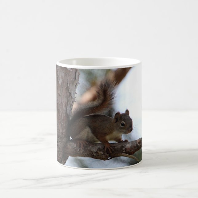 Caneca De Café Esquilo em um Pinheiro (Centro)