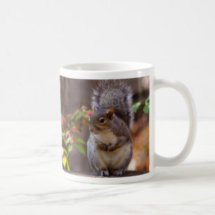 Caneca De Café Esquilo Inicia Pacientemente Mug De Café