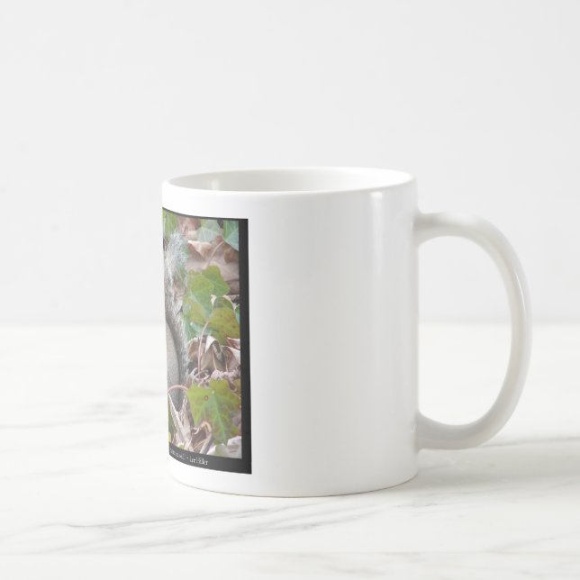 Caneca De Café Esquilo Na Hera - Presentes de Amor e Roupas (Direita)