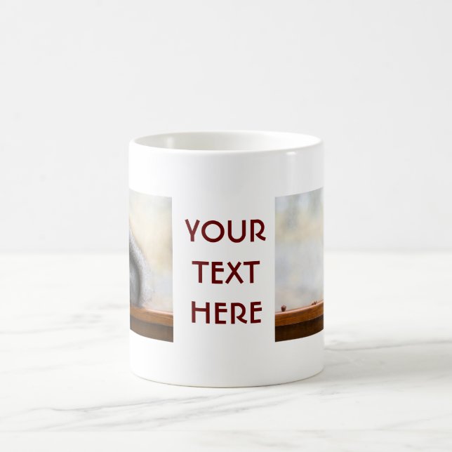 Caneca De Café Esquilo num banco e alguns loucos (Centro)