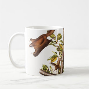 Caneca De Café Esquilo Voador de Oregon (Pteromys Origonensis)