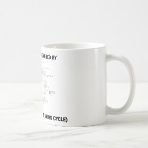 Caneca De Café Esta máquina é psta pelo ciclo de ácido cítric