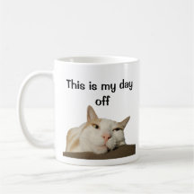 Este é o Meu Dia de Folga Gato