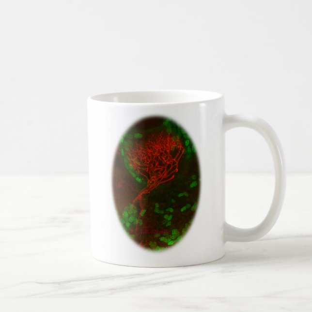 Caneca De Café Estimule seus neurônios! copo de café (Direita)