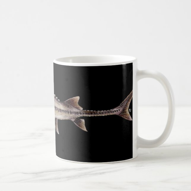 Caneca De Café Esturjão Pallid - albus de Scaphirhynchus (Direita)