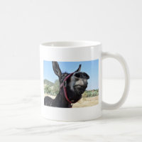 Eu Amo Donkeys!