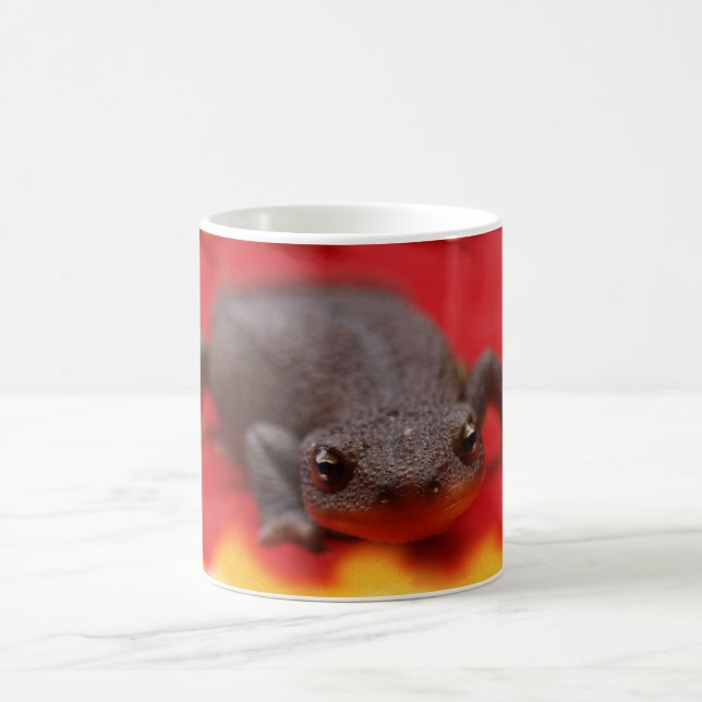 Caneca De Café Eu Amo Notícias (Centro)
