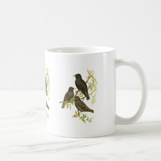 Caneca De Café Europeu Starling