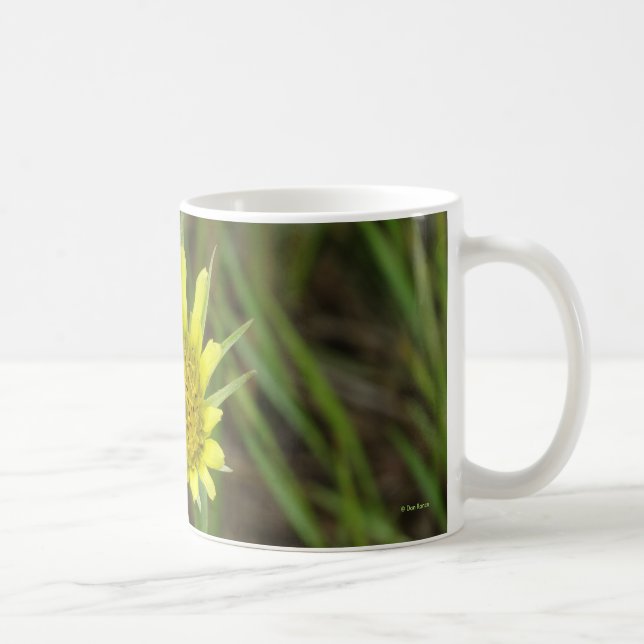 Caneca De Café F41 Flor Amarela Barba-de-Bode (Direita)