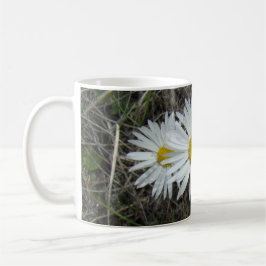Caneca De Café F42 Flores Silvestres Brancas Aster Suave