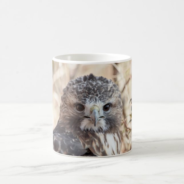 Caneca De Café Falcão atado vermelho (Centro)