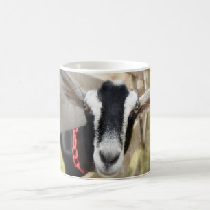 Caneca De Café Fall Fair Billy Goat
