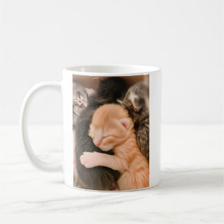 Caneca De Café Family Is Everything, Kitten Coffee Mug