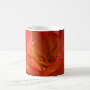 Caneca De Café Fechamento da rosa vermelha