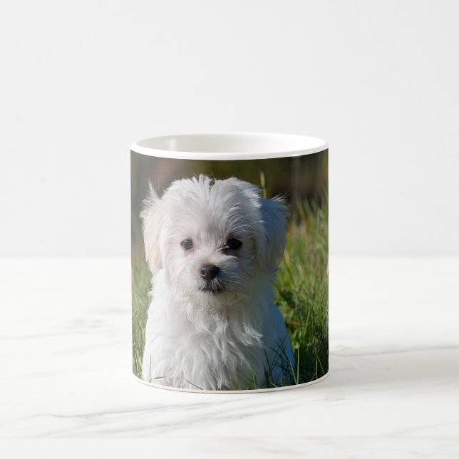 Caneca De Café Filhote branco fofo (Centro)