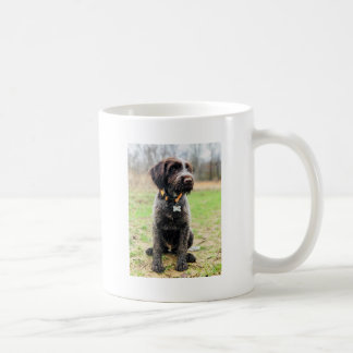 Caneca De Café Filhote de cachorro apontar Griffon Wirehaired