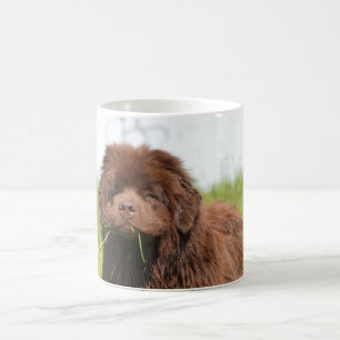 Caneca De Café Filhote de cachorro de Terra Nova