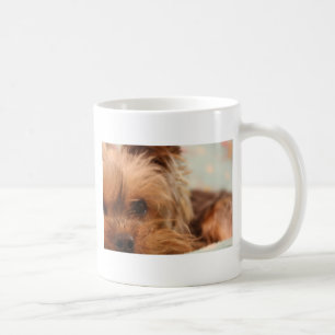 Caneca De Café filhote de cachorro do yorkie do teacup