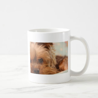 Caneca De Café filhote de cachorro do yorkie do teacup