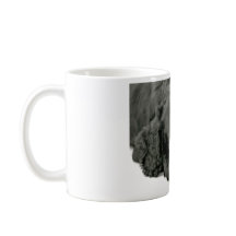 Filhote de cachorro muito bonito