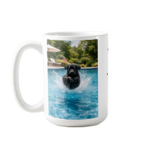 Filhote de Labrador Preto Salto na Piscina