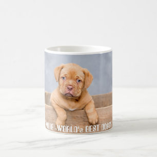 Caneca De Café Filhote de Pitbull Dourado Personalizado Nome &