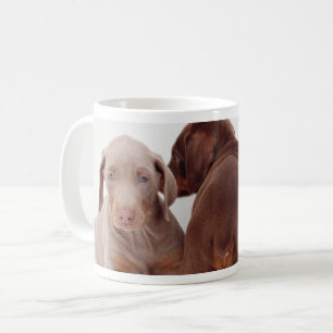 Caneca De Café Filhotes de cachorro do Pinscher do Doberman