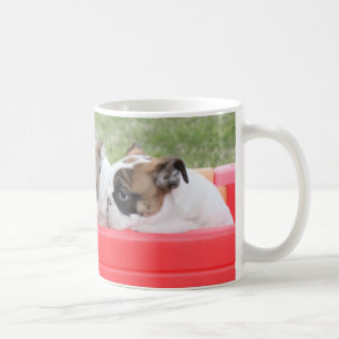 Caneca De Café Filhotes de cachorro ingleses do buldogue em um