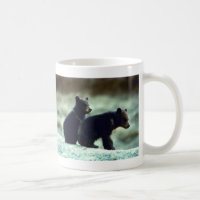 Filhotes de urso preto